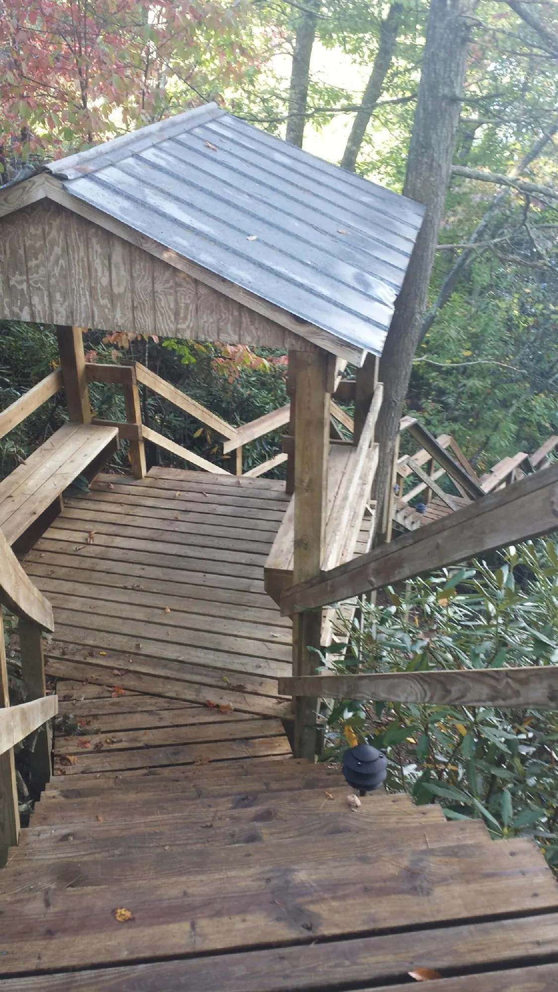 Metal roofed shelter over wooden steps on a wooded walkway — Skylight Repair & Installation work by our crew in Moretown